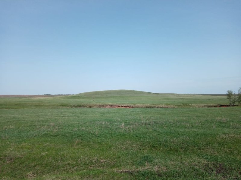  Страница 43 - Форум 