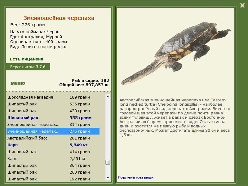 турниры • РУССКАЯ РЫБАЛКА