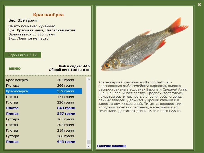 турниры • РУССКАЯ РЫБАЛКА