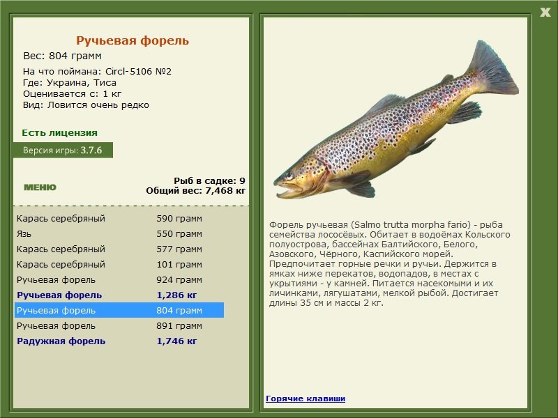 турниры • РУССКАЯ РЫБАЛКА