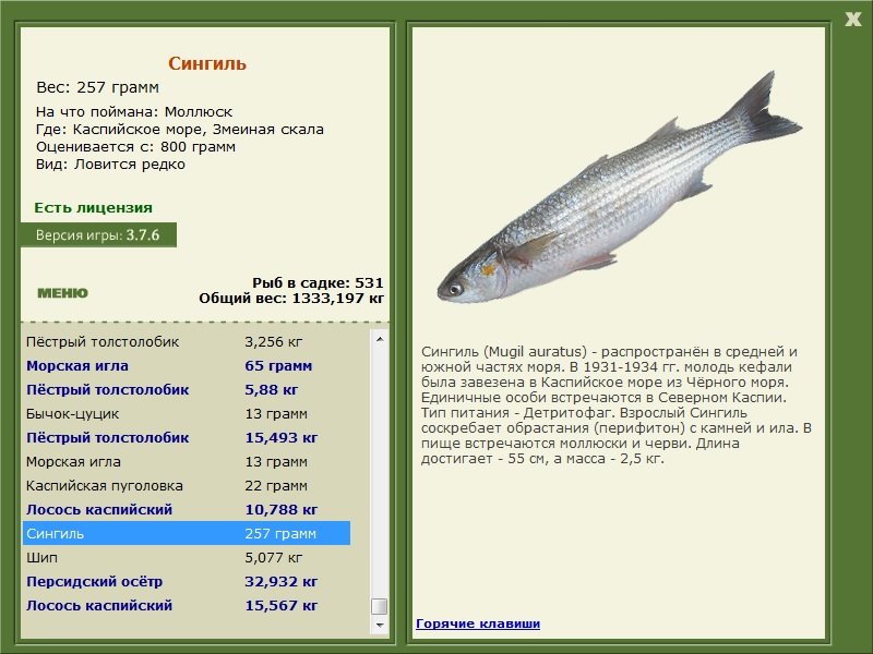 турниры • РУССКАЯ РЫБАЛКА