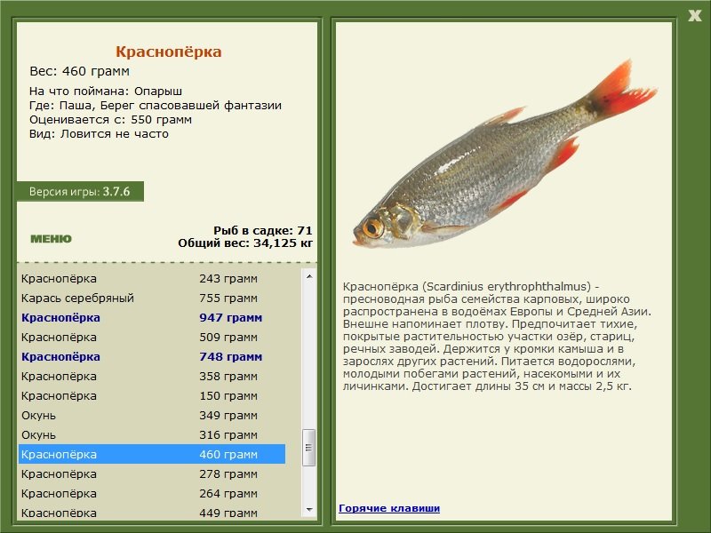 турниры • РУССКАЯ РЫБАЛКА