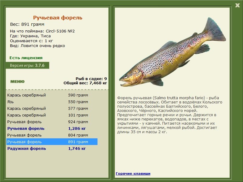 турниры • РУССКАЯ РЫБАЛКА