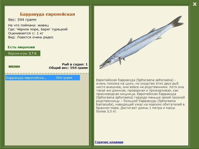 турниры • РУССКАЯ РЫБАЛКА