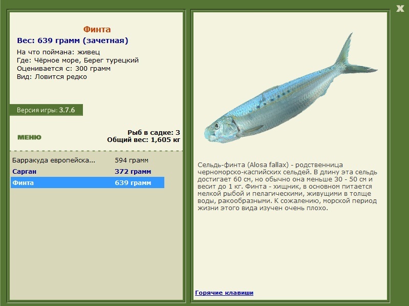 турниры • РУССКАЯ РЫБАЛКА