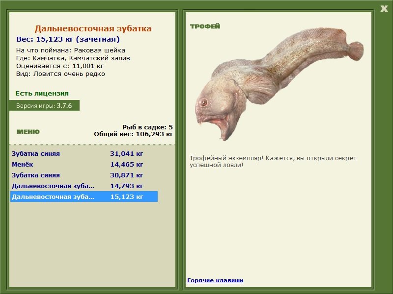 Дальневосточная зубатка 