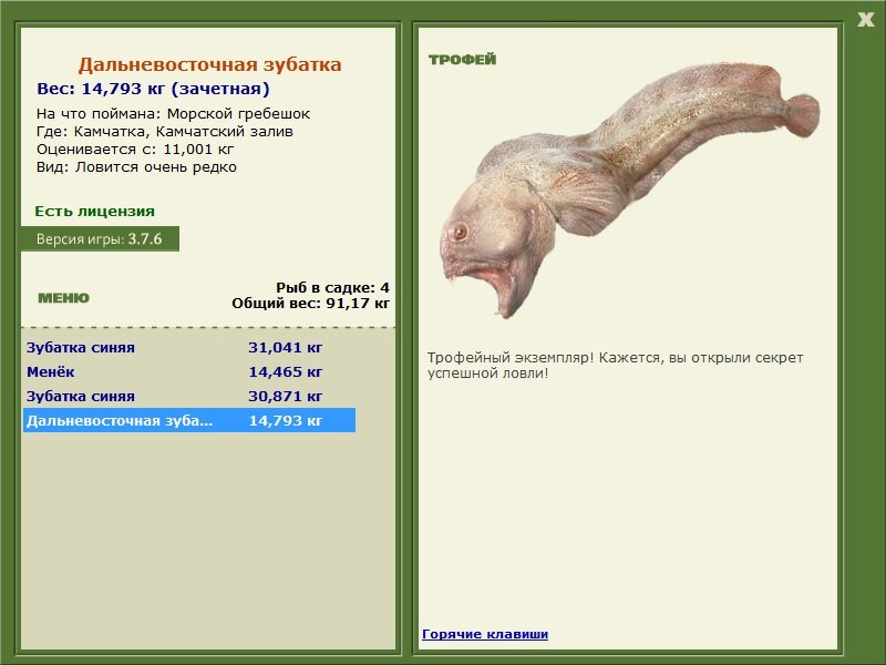 Дальневосточная зубатка 