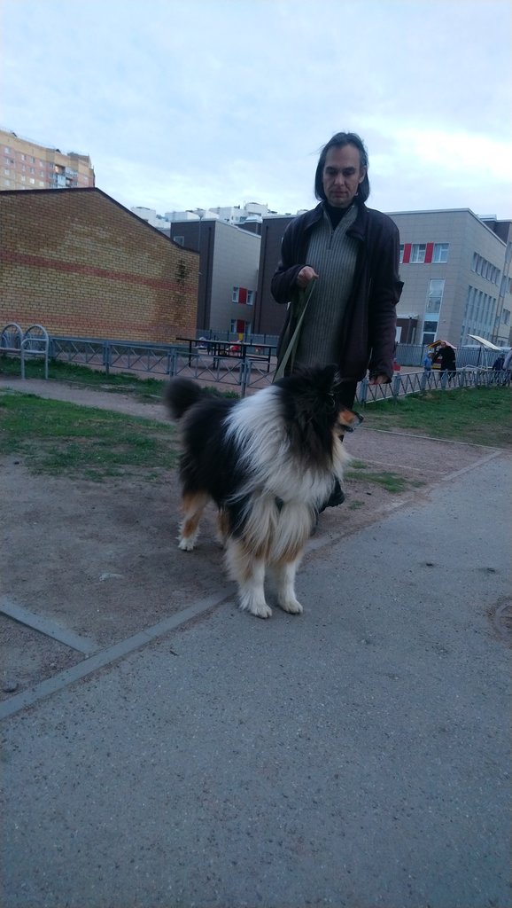 ФОРУМ ЛЮБИТЕЛЕЙ КОЛЛИ И ШЕЛТИ 