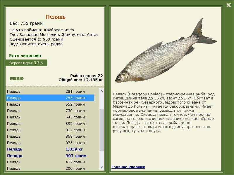 РУССКАЯ РЫБАЛКА Installsoft Edition 