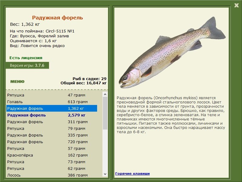 турниры • РУССКАЯ РЫБАЛКА