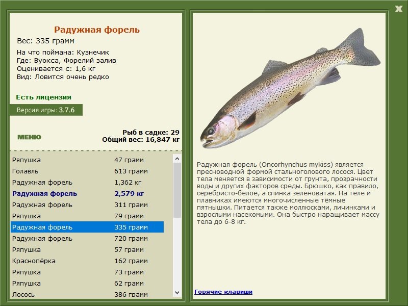 турниры • РУССКАЯ РЫБАЛКА