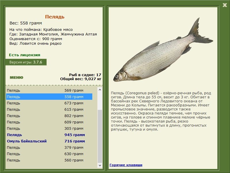 турниры • РУССКАЯ РЫБАЛКА