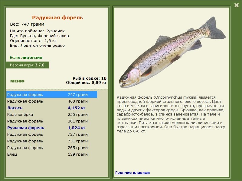 турниры • РУССКАЯ РЫБАЛКА