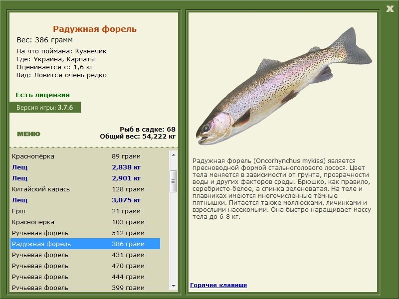 турниры • РУССКАЯ РЫБАЛКА