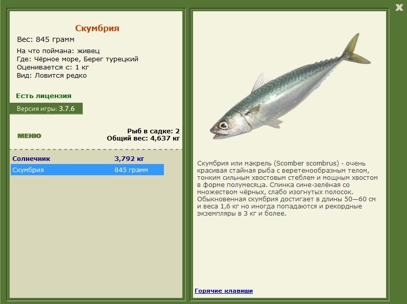 турниры • РУССКАЯ РЫБАЛКА