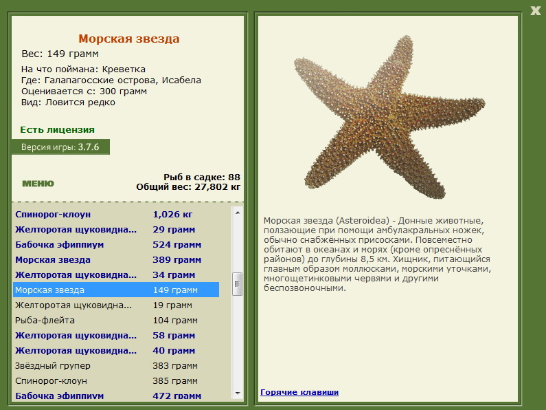 турниры • РУССКАЯ РЫБАЛКА