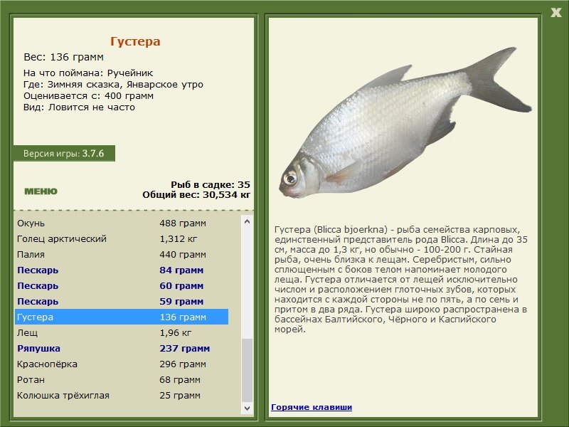 турниры • РУССКАЯ РЫБАЛКА