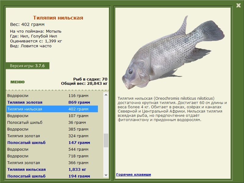 РУССКАЯ РЫБАЛКА Installsoft Edition 