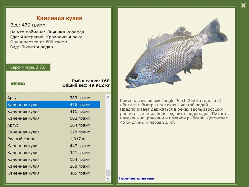 турниры • РУССКАЯ РЫБАЛКА