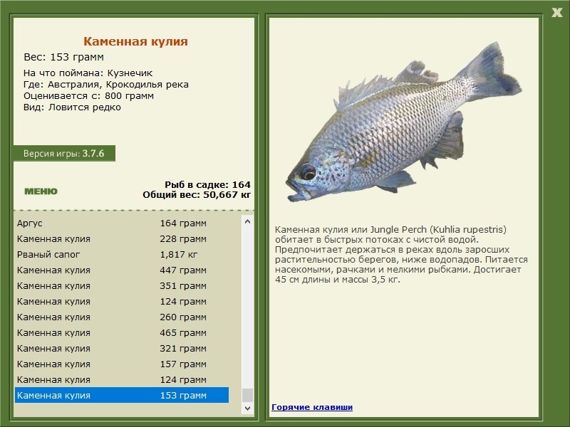 турниры • РУССКАЯ РЫБАЛКА