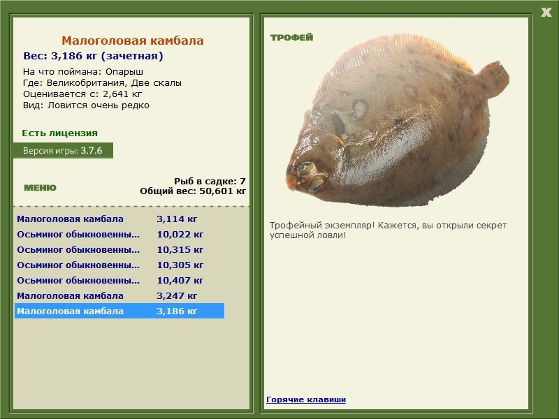 Две скалы 