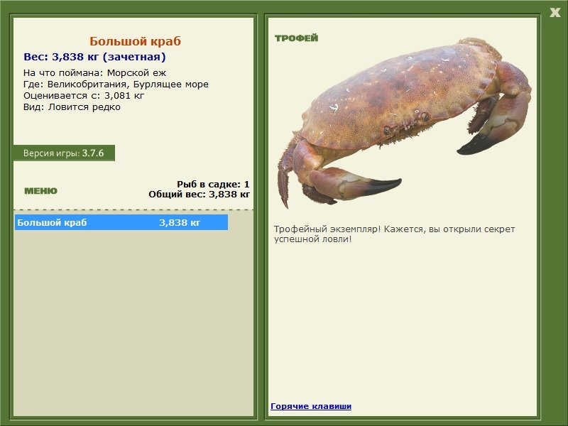 Бурлящее море 