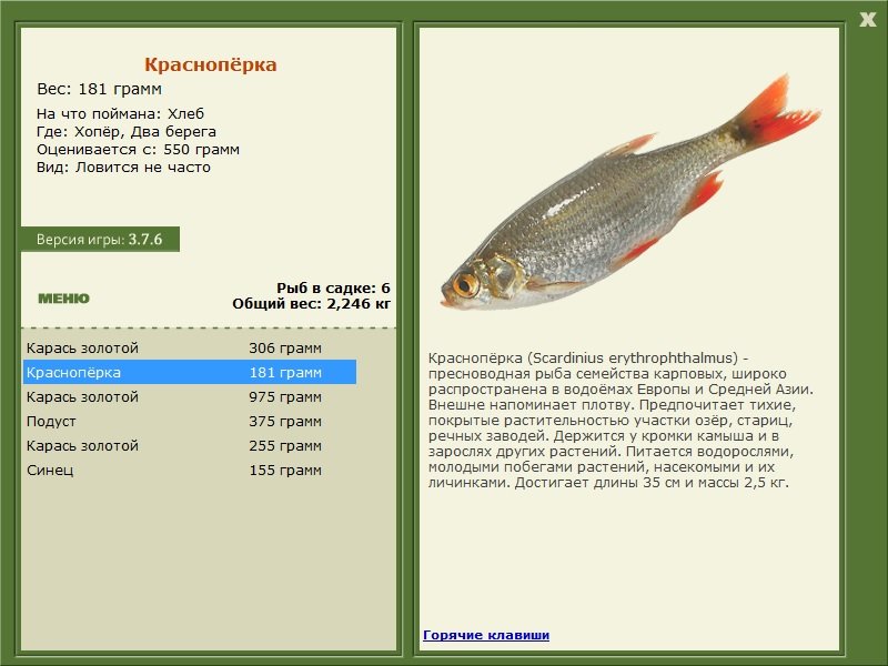 турниры • РУССКАЯ РЫБАЛКА