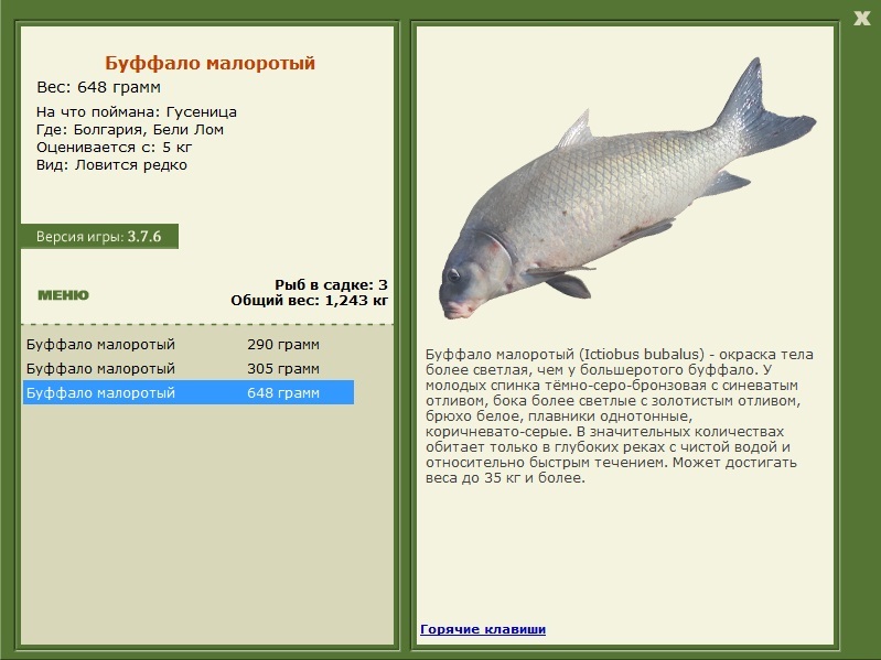 турниры • РУССКАЯ РЫБАЛКА