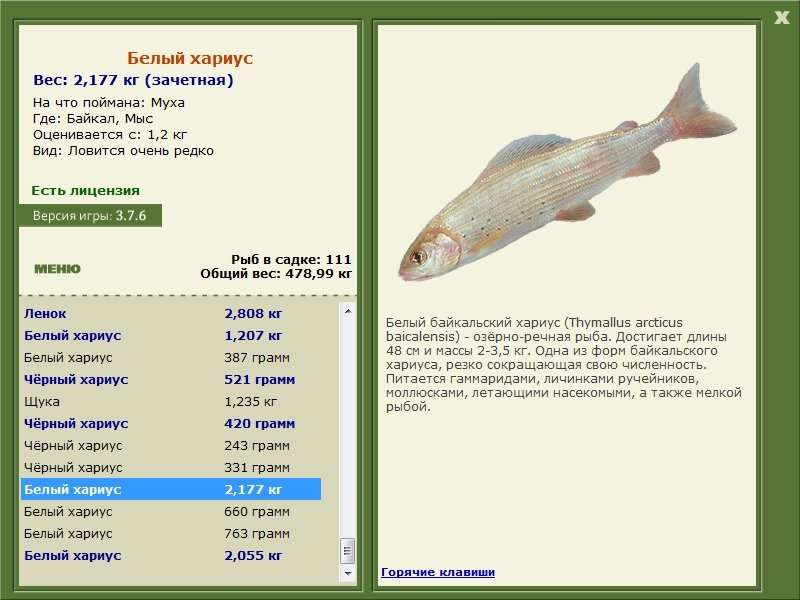 турниры • РУССКАЯ РЫБАЛКА