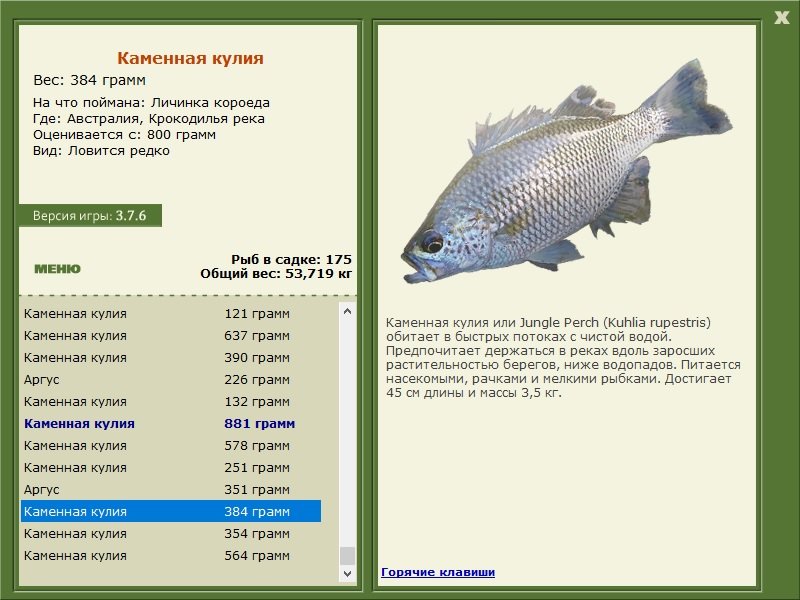 турниры • РУССКАЯ РЫБАЛКА