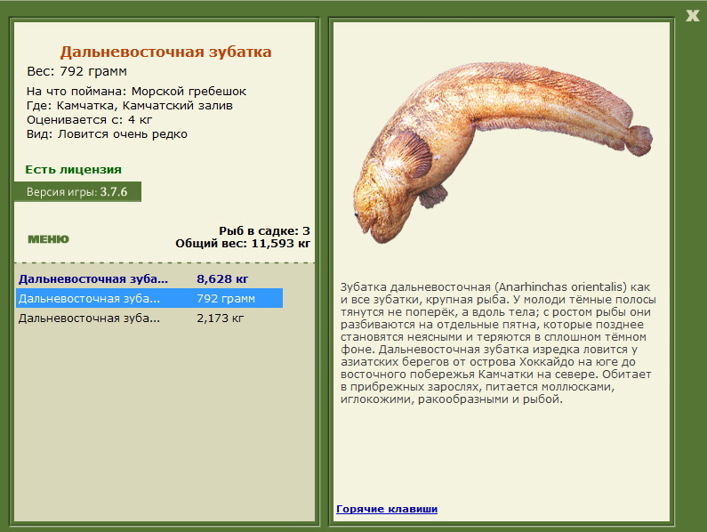 турниры • РУССКАЯ РЫБАЛКА
