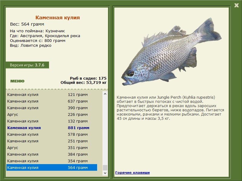 турниры • РУССКАЯ РЫБАЛКА