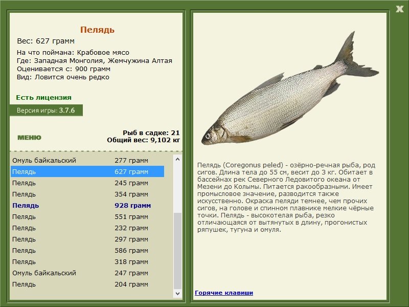 турниры • РУССКАЯ РЫБАЛКА