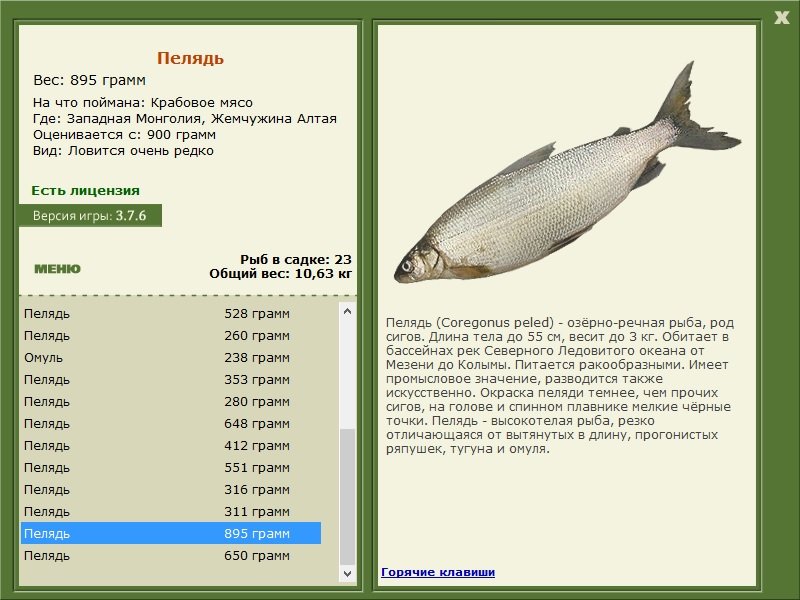 РУССКАЯ РЫБАЛКА Installsoft Edition 