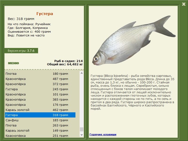 турниры • РУССКАЯ РЫБАЛКА