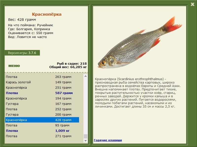 турниры • РУССКАЯ РЫБАЛКА