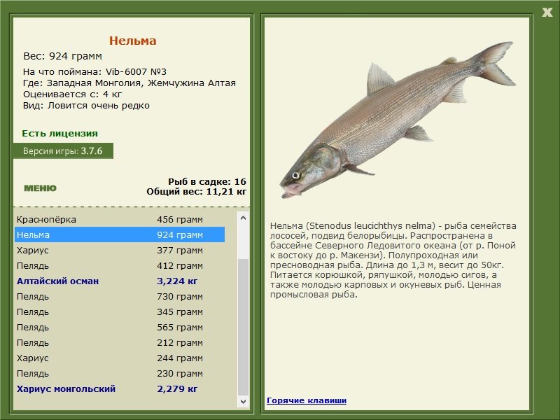 РУССКАЯ РЫБАЛКА Installsoft Edition 