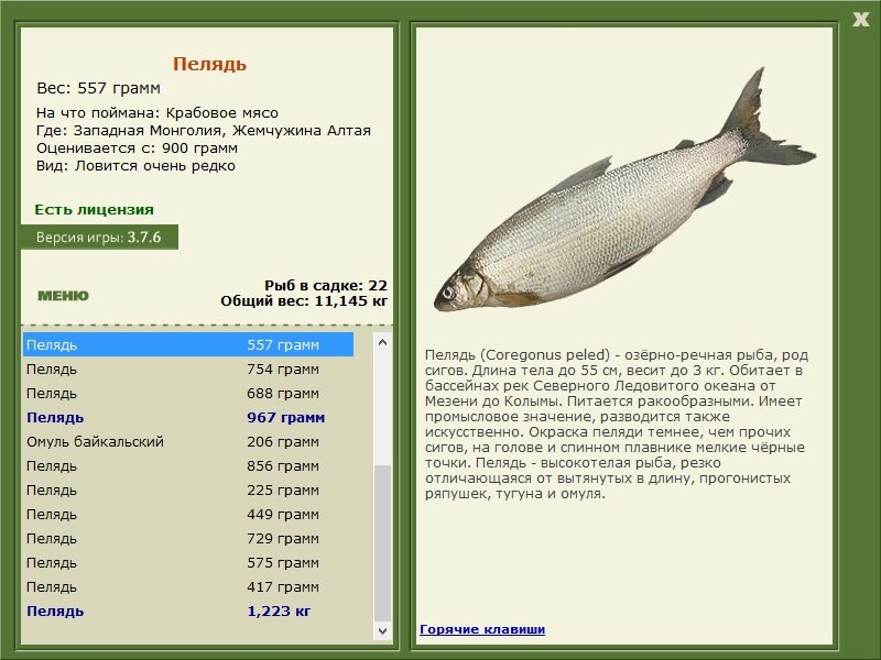турниры • РУССКАЯ РЫБАЛКА