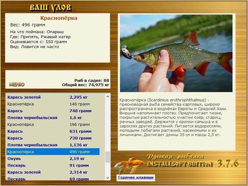 РУССКАЯ РЫБАЛКА Installsoft Edition 