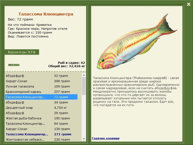 турниры • РУССКАЯ РЫБАЛКА