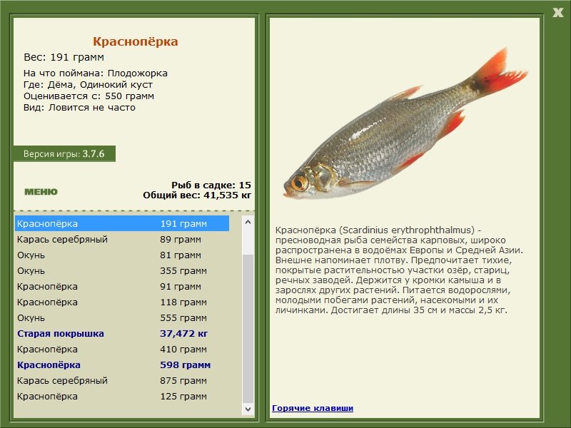турниры • РУССКАЯ РЫБАЛКА