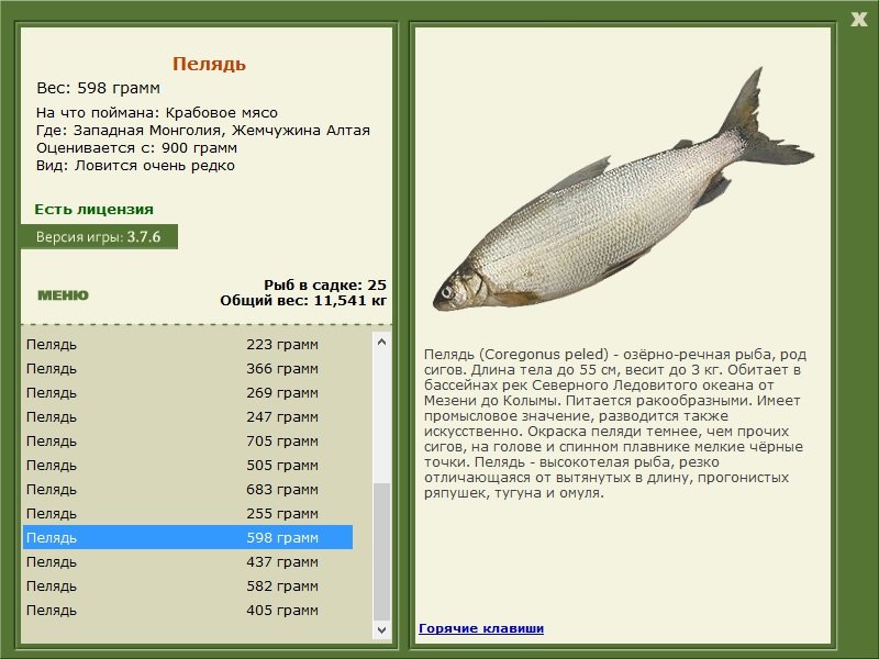 турниры • РУССКАЯ РЫБАЛКА