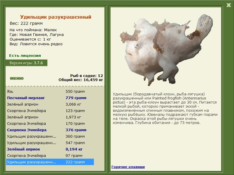 турниры • РУССКАЯ РЫБАЛКА