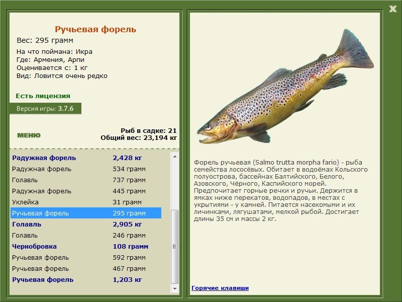 турниры • РУССКАЯ РЫБАЛКА