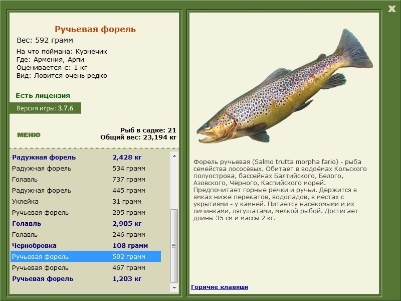 турниры • РУССКАЯ РЫБАЛКА