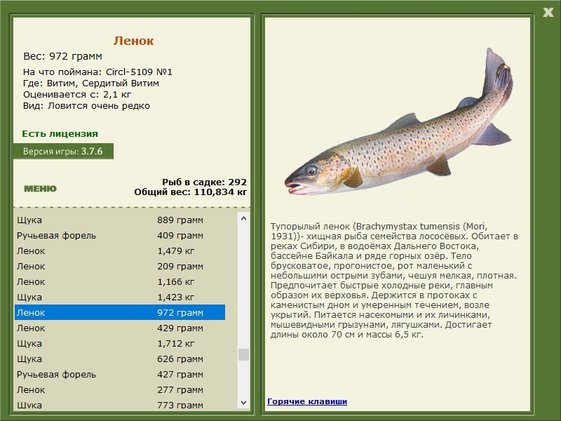 турниры • РУССКАЯ РЫБАЛКА