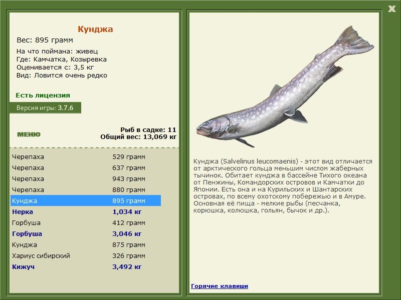 РУССКАЯ РЫБАЛКА Installsoft Edition 