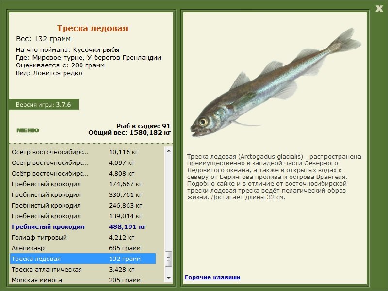 турниры • РУССКАЯ РЫБАЛКА