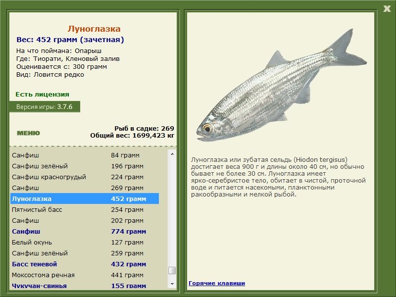 турниры • РУССКАЯ РЫБАЛКА