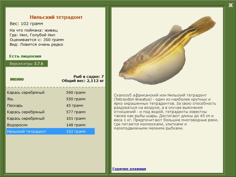 турниры • РУССКАЯ РЫБАЛКА